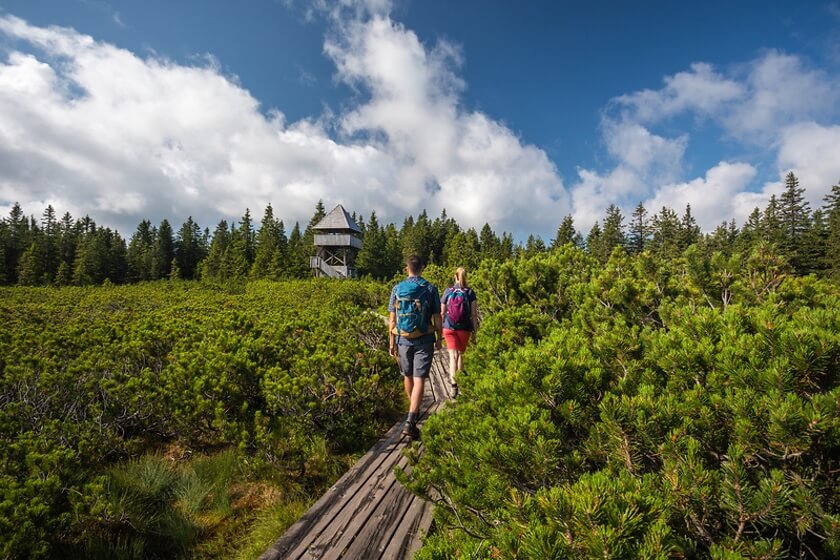 Rogla, Lovrenská jezera a degustace skvělých slovinských vín.