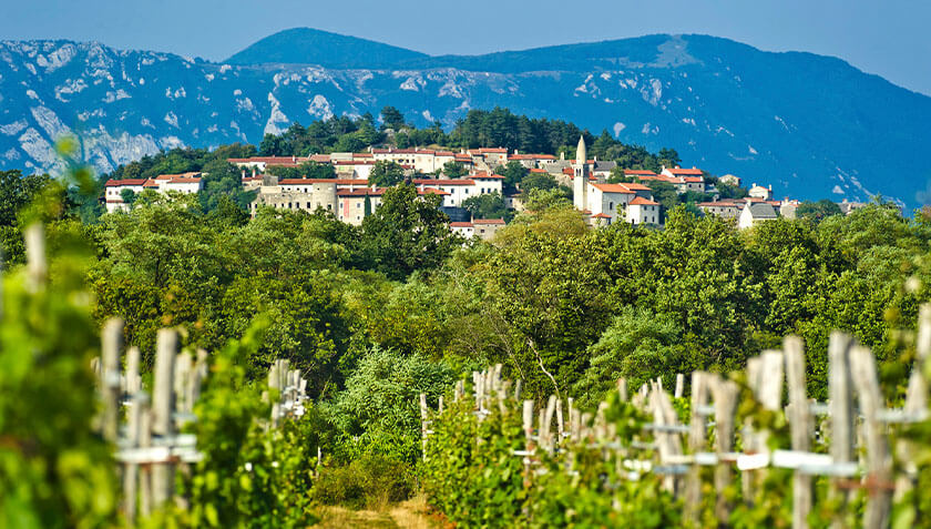 COP Travel Vinařská oblast Goriška Brda