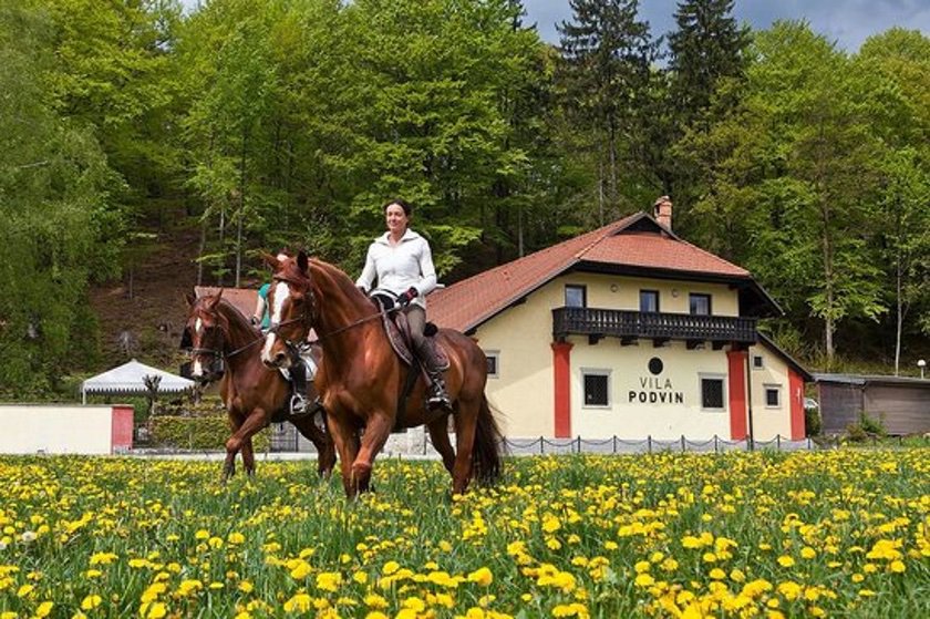COP Travel Slovinsko Vila Podvin Radovljica