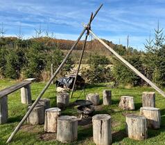 COP | Jógové pobyty 2026 - Cesta dovnitř