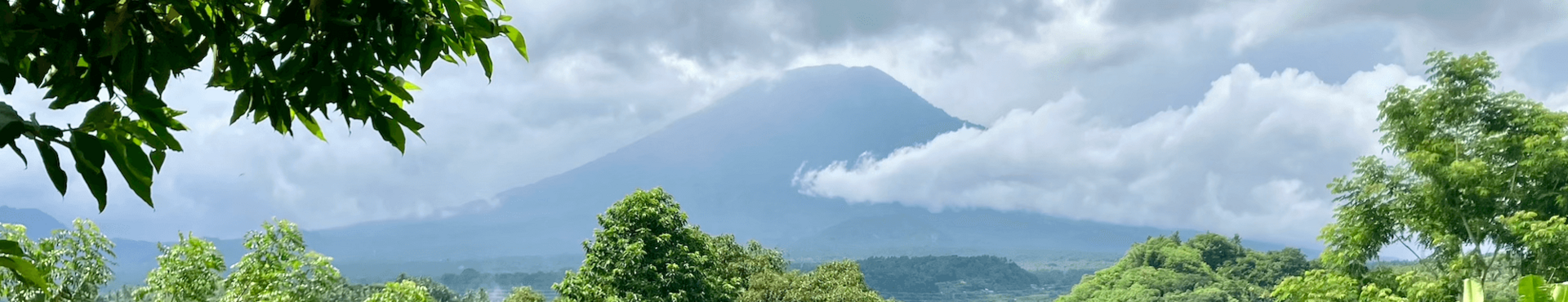 Pavla Zvoňárová, lektorka jógy