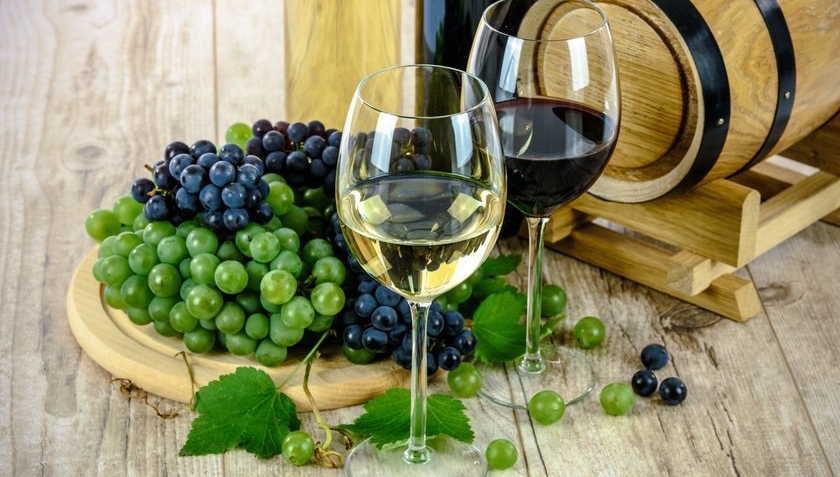 COP Travel Degustace slovinských vín