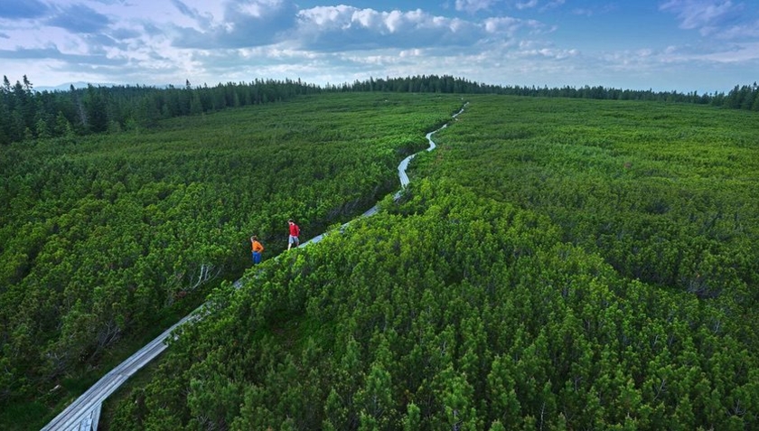 COP Travel Slovinsko Pohorje Rogla kleče