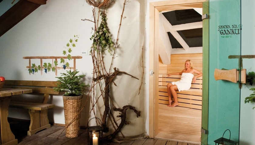 COP Travel Slovinsko Terme Zreče sauna
